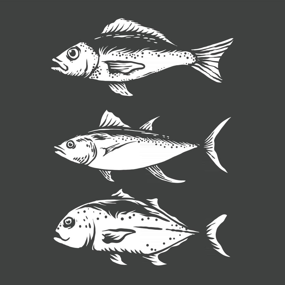 Vintage fish hand drawn illustration vector