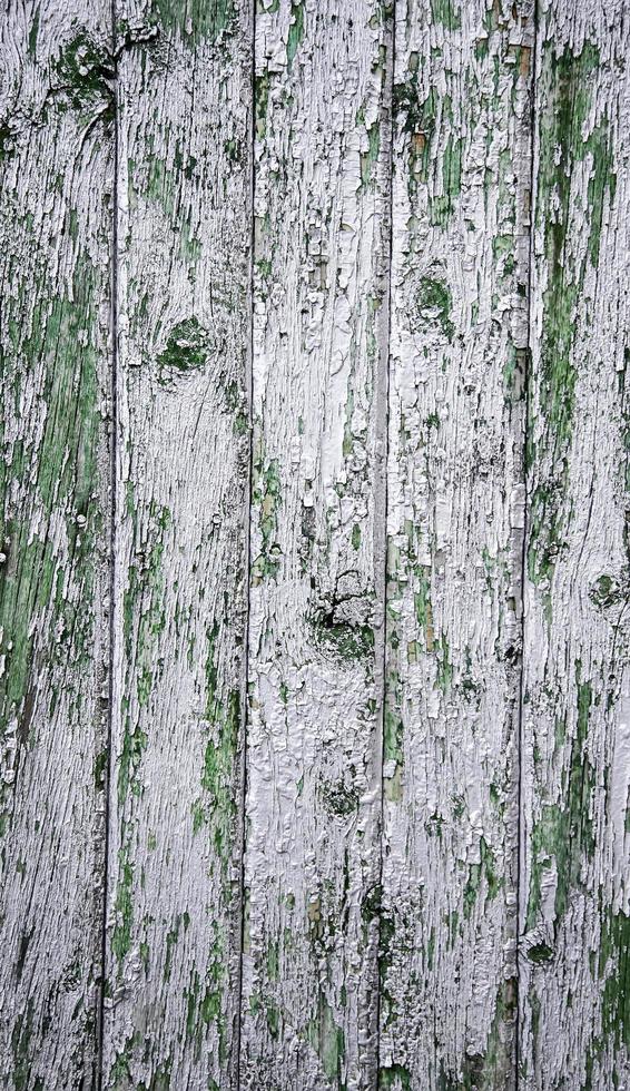 Silver wood background photo