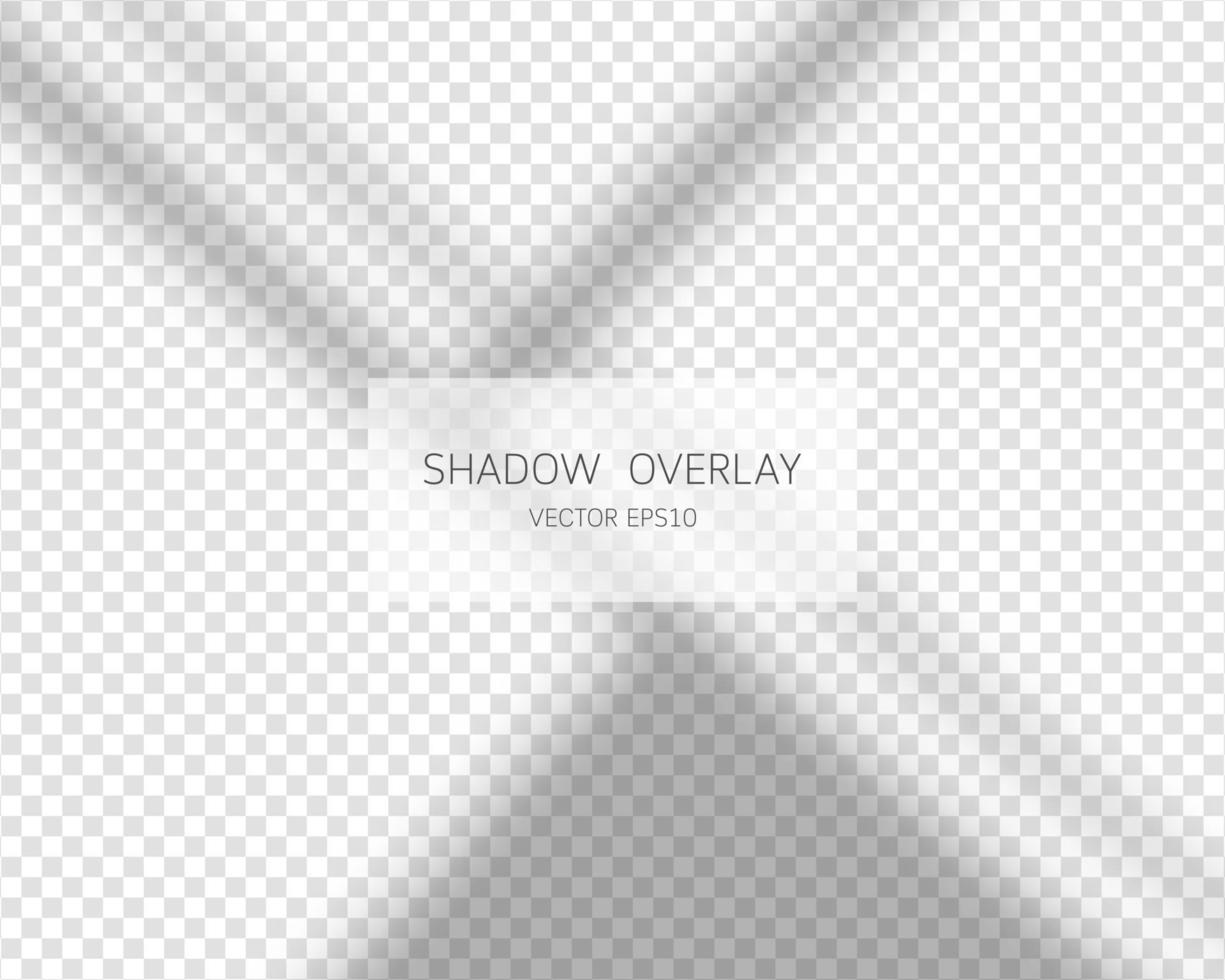 Shadow overlay effect. Natural shadows from window isolated on transparent background. Vector illustration.