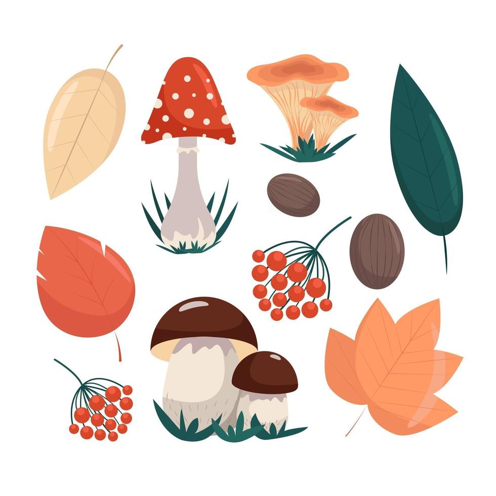 Set of autumn leaves and mushrooms in flat style, vector objects isolated