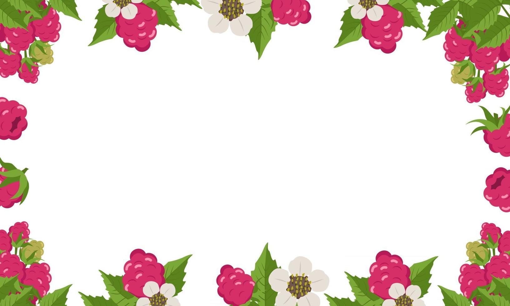 Frame with raspberries, leaves and white flowers on a white background. Bright berry square pattern. Summer food banner vector