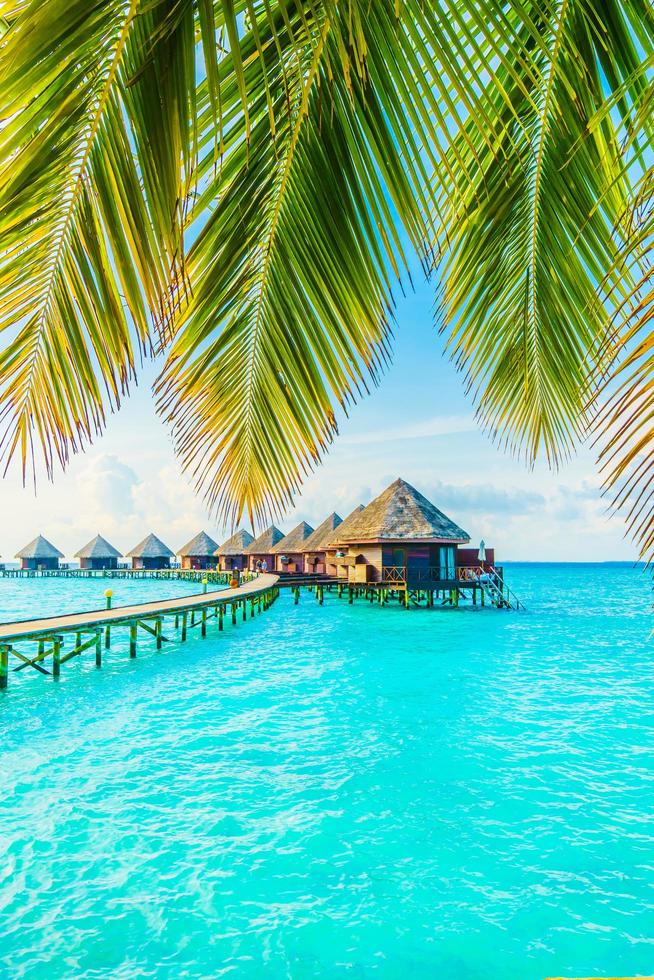 Beautiful Maldives Island photo