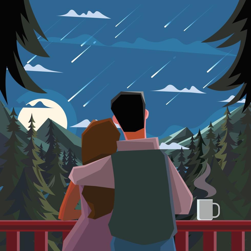 Couple Enjoy Shooting Star at Night vector