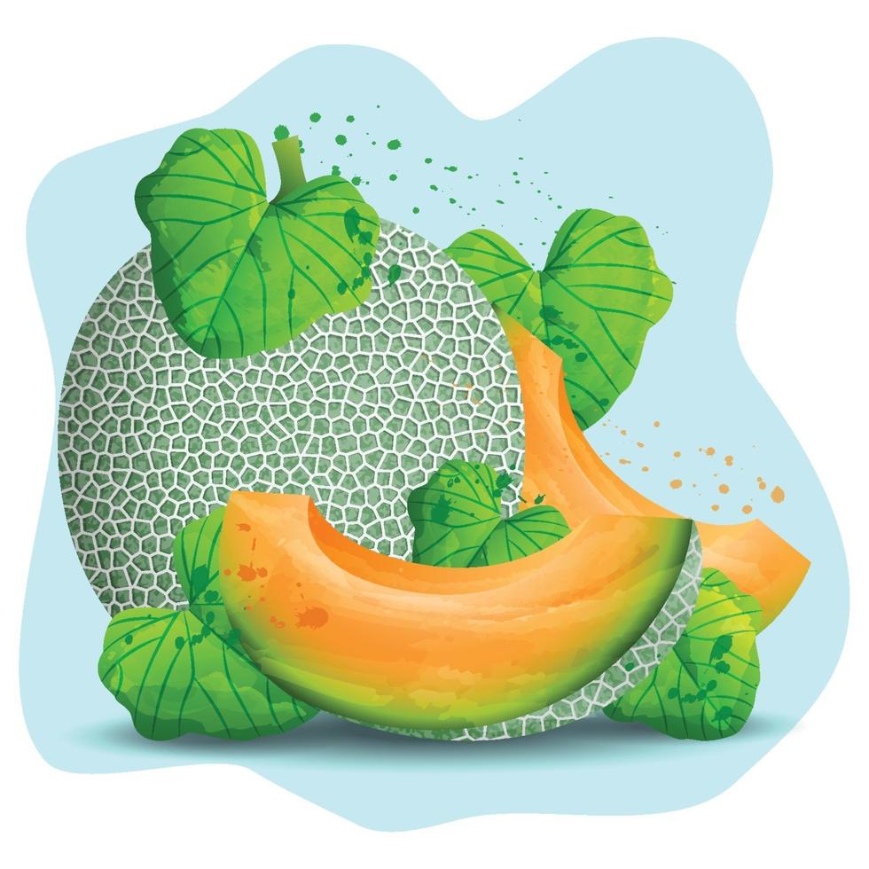 Sliced of Fresh Melon vector