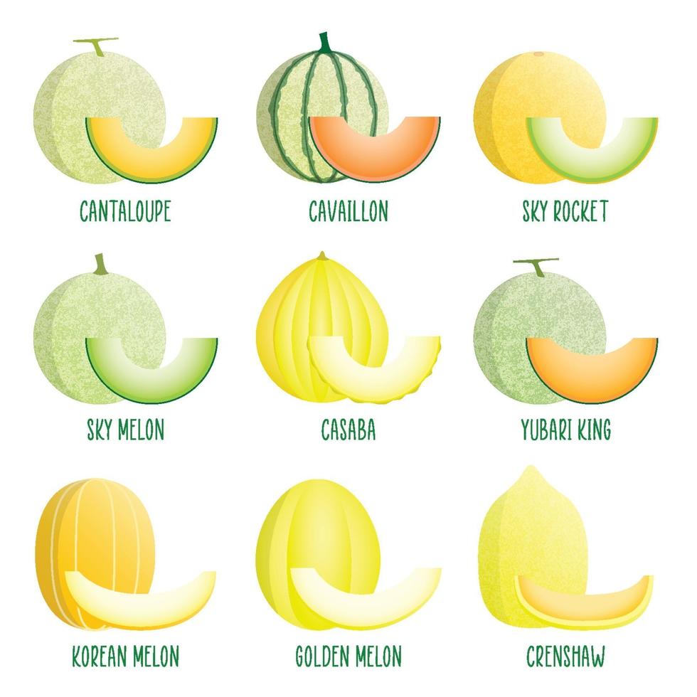 Set of Melon Icons vector