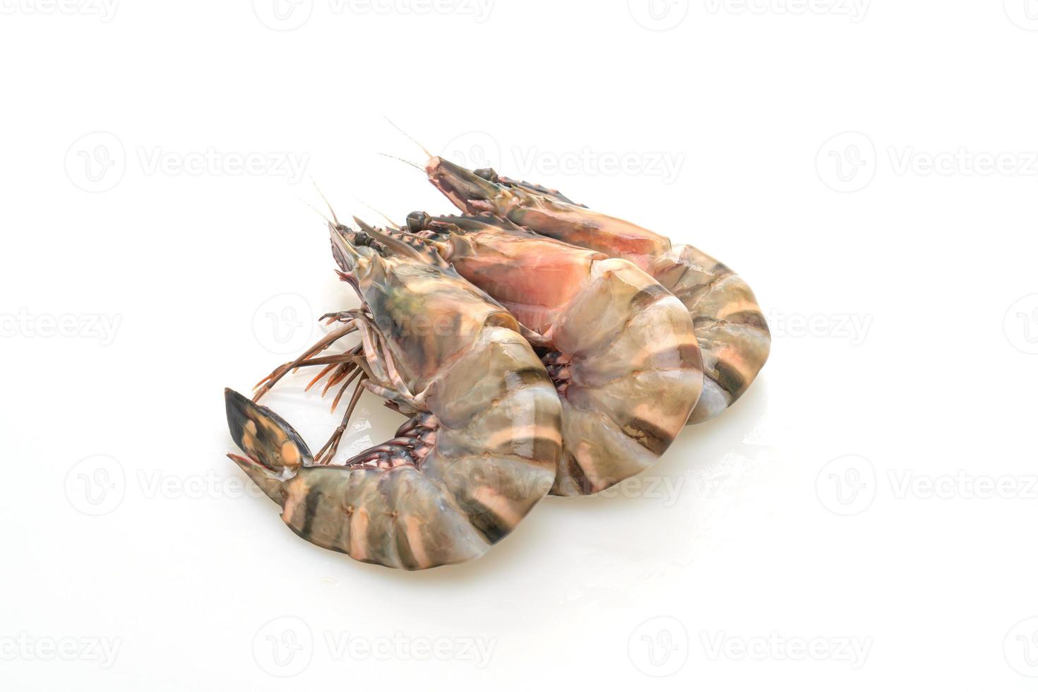 Fresh tiger prawn or shrimp on white background photo