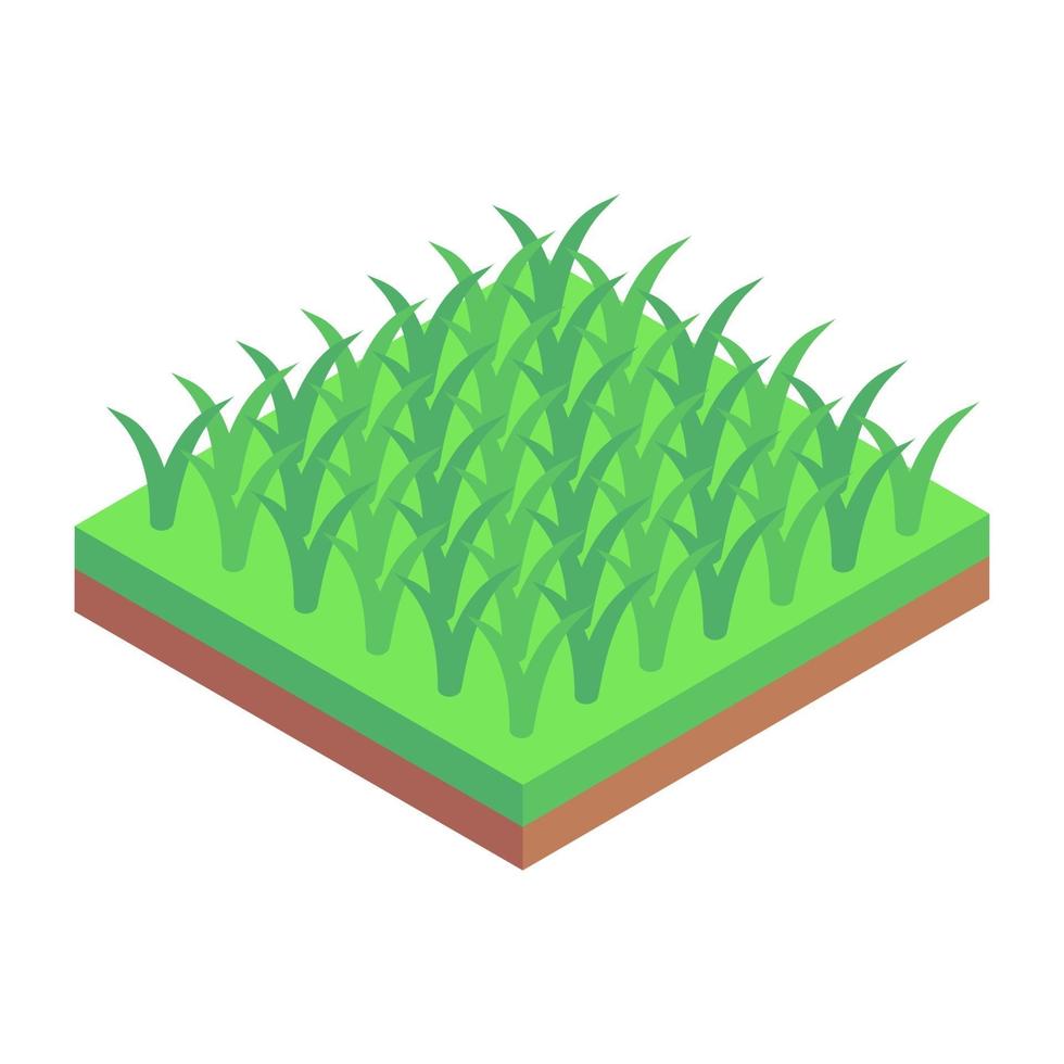 campos y cultivo vector