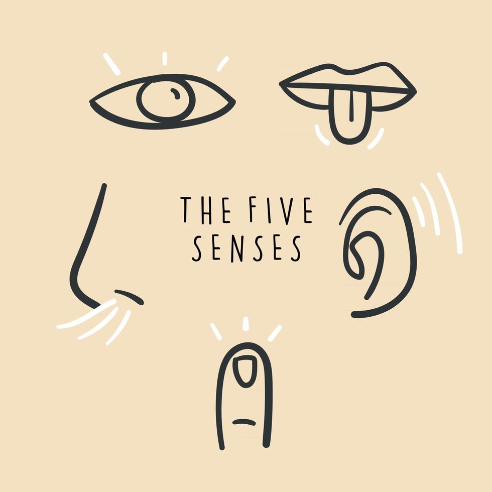 Hand drawn simple icons representing the five senses. Hand drawn doodles. vector
