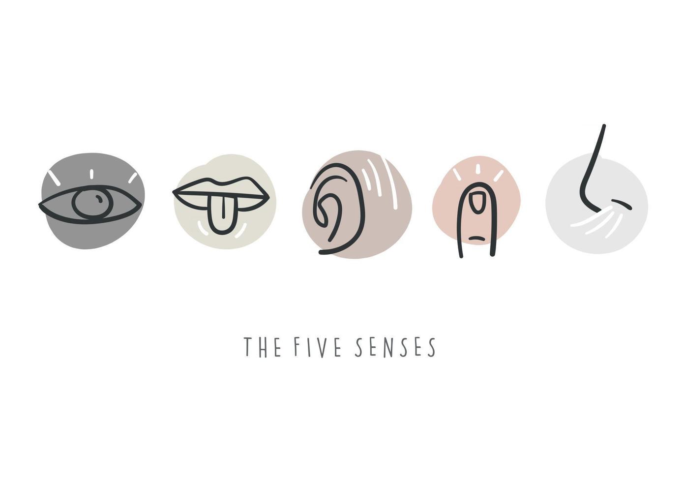 Hand drawn simple icons representing the five senses. Hand drawn doodles. vector