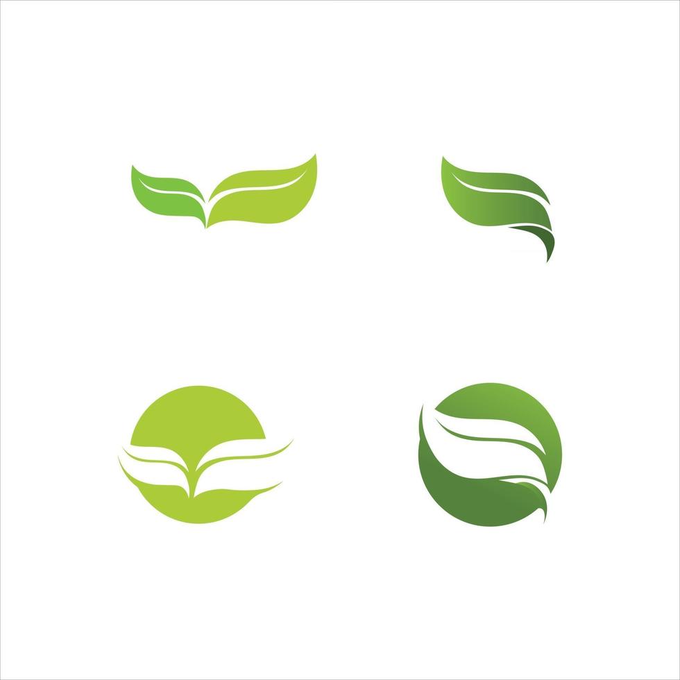 Tree leaf vector and green logo design friendly concept