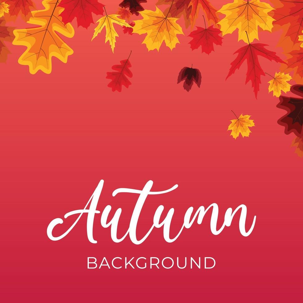 Autumn background with falling leaves. Vector Illustration