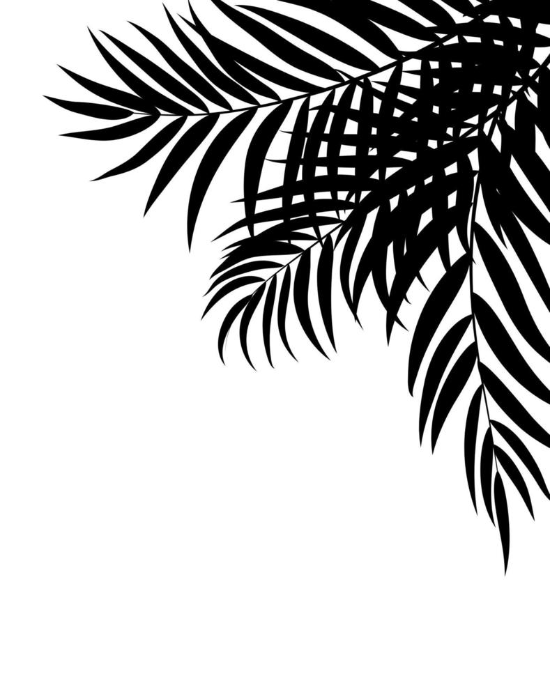 Ilustración de vector de fondo de silueta de hoja de palmera beautifil