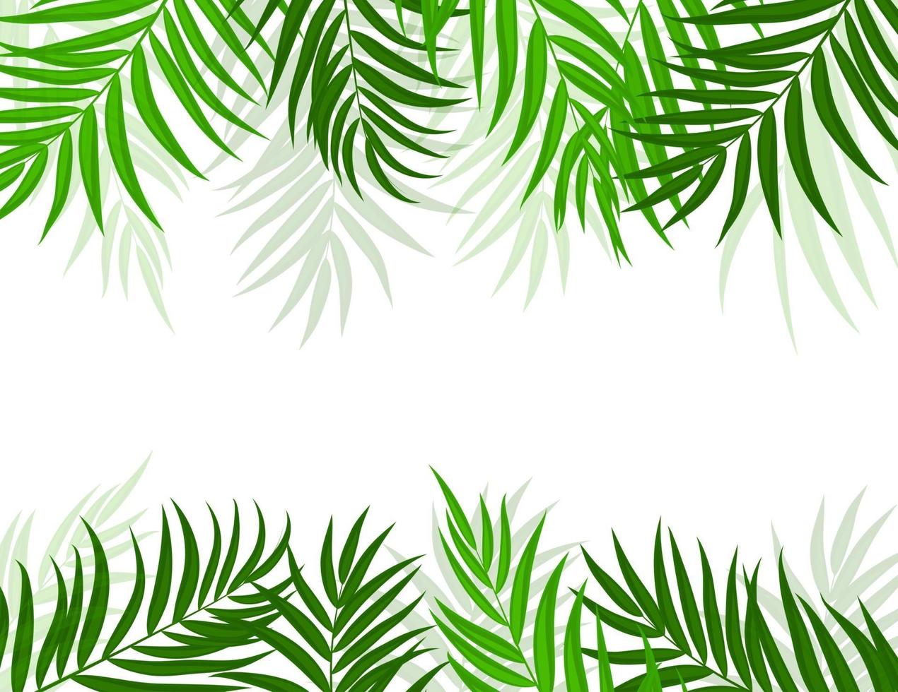 Beautifil Palm Tree Leaf Silhouette Background Vector Illustration