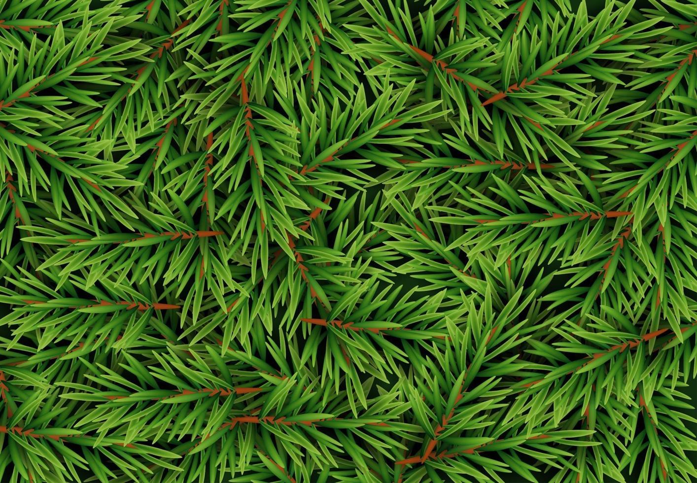 Realistic Fir Branches Background, Christmas Tree, Pine. Vector Illustration