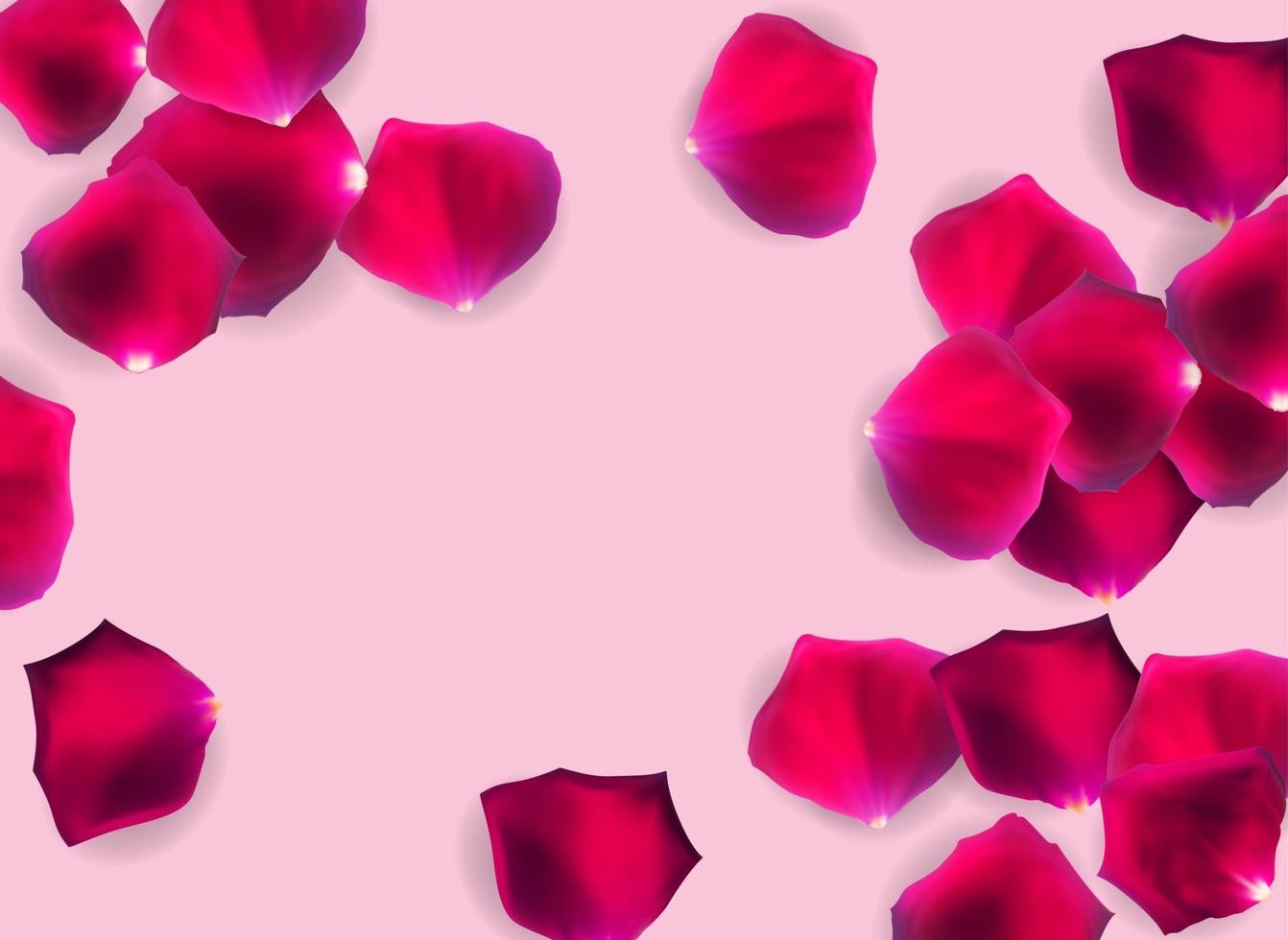 Abstract Natural Rose Petals o Background Realistic Vector Illustration