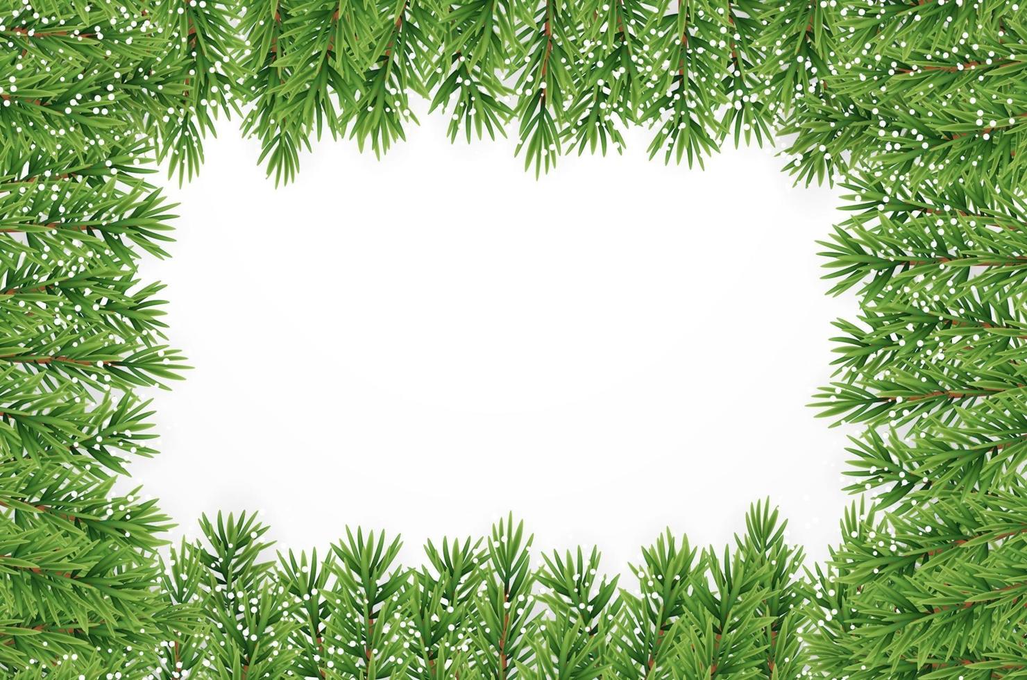 Fir Branches with Snow. Merry Christmas and New Year Winter Background. Vector Illustration