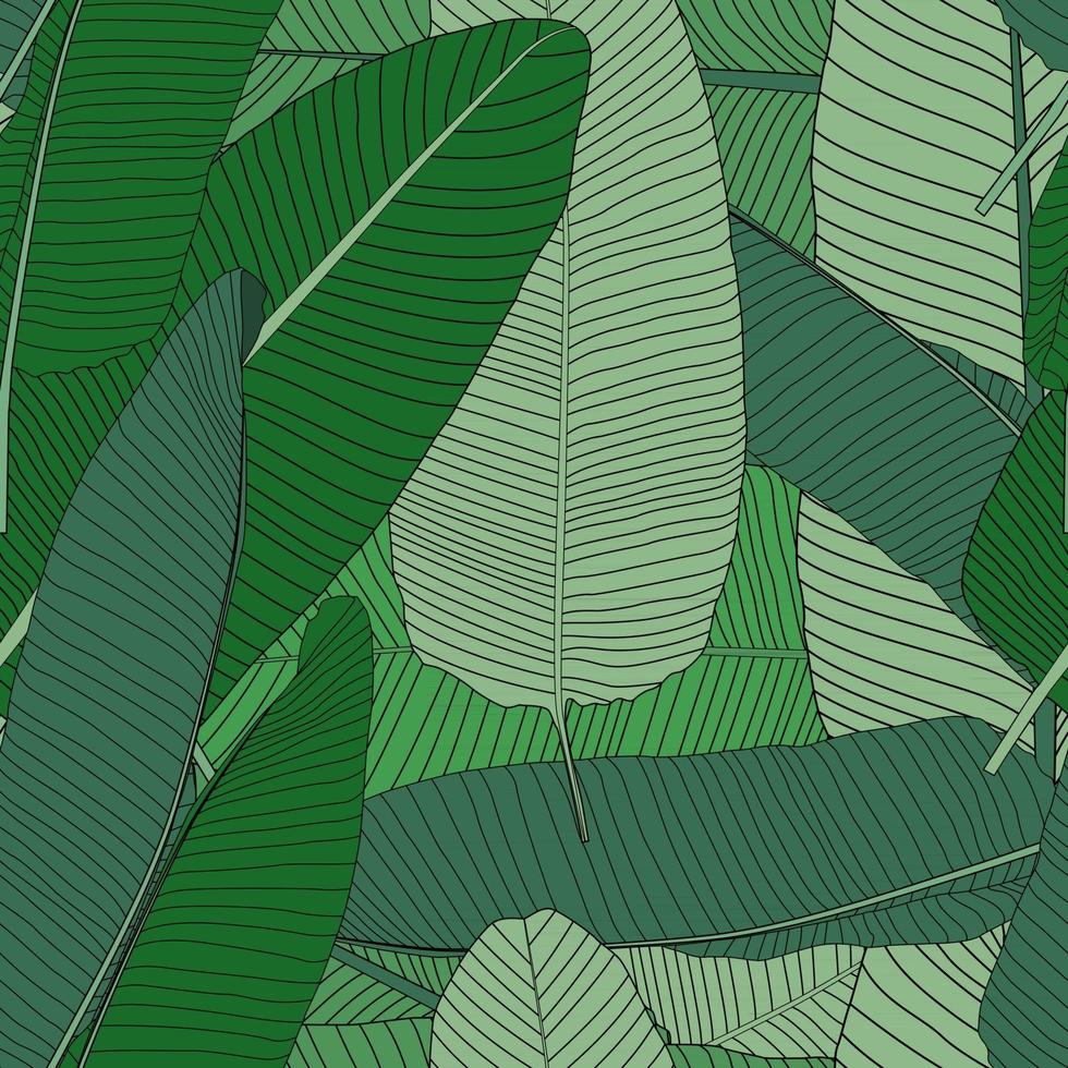 beautifil, palmera, hoja, silueta, seamless, patrón, plano de fondo, vector, ilustración vector