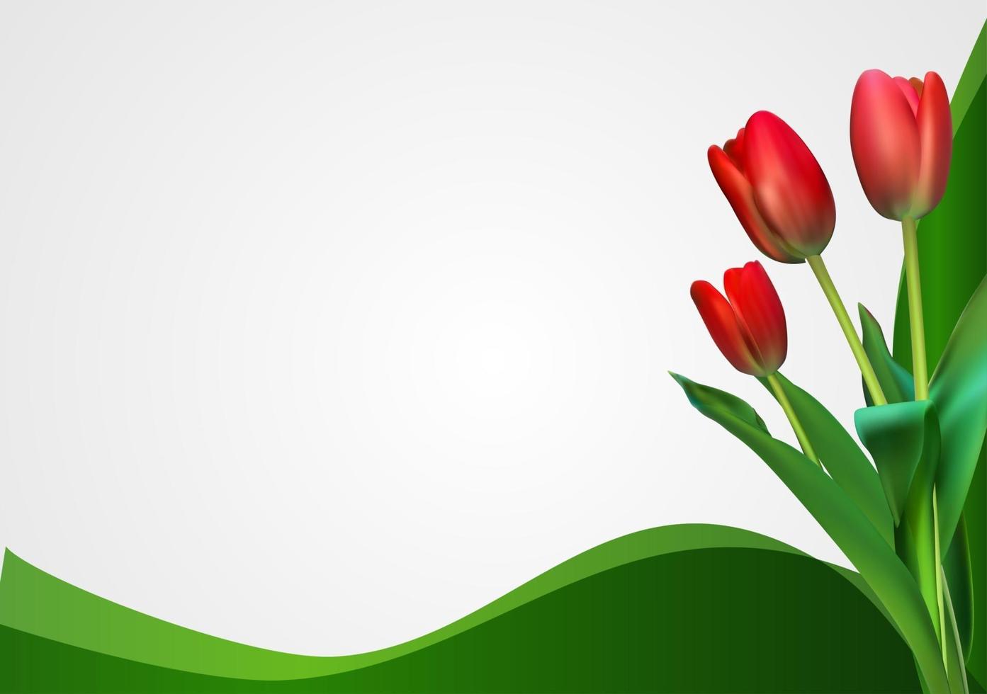 Abstract Backgroundn with Tulips Flowers. Vector Illustration