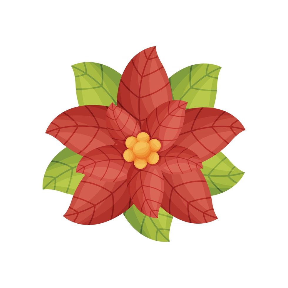 Christmas red holly flower vector