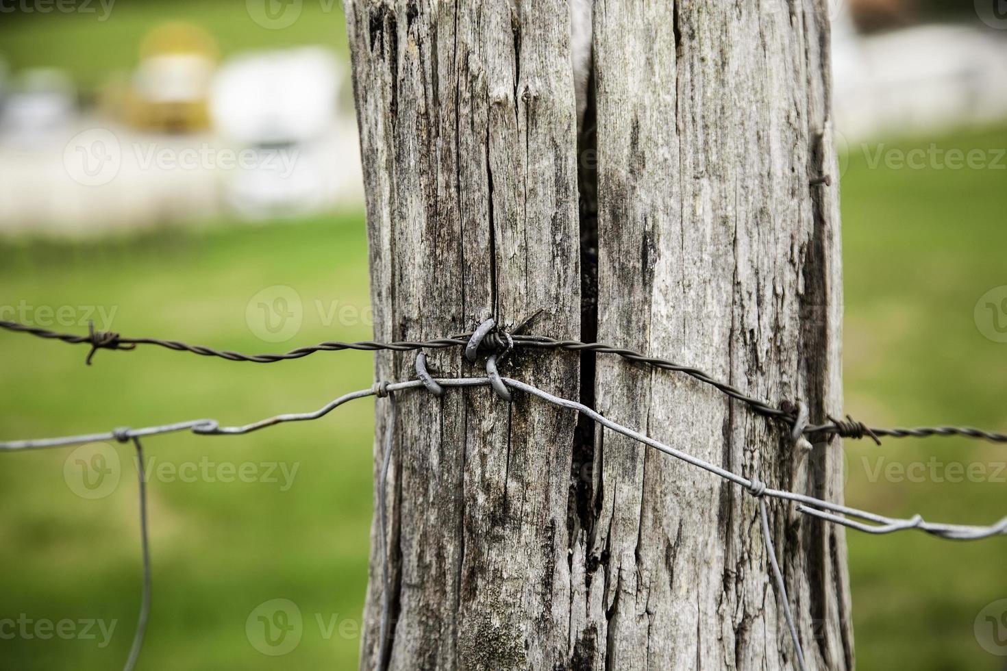 Barbed wire on wood photo