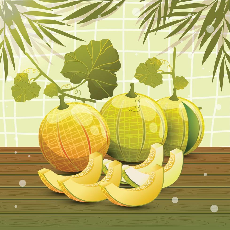 Sliced Fresh Melon on the Table vector