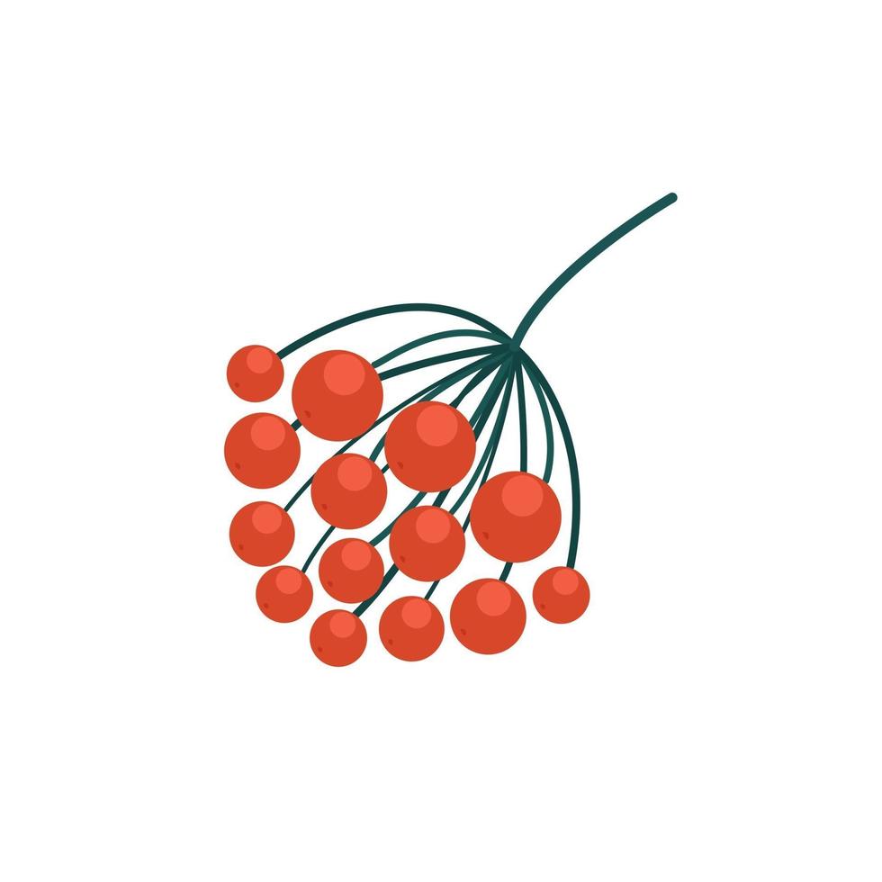 Branch with red berries, autumn berries, vector isolated object