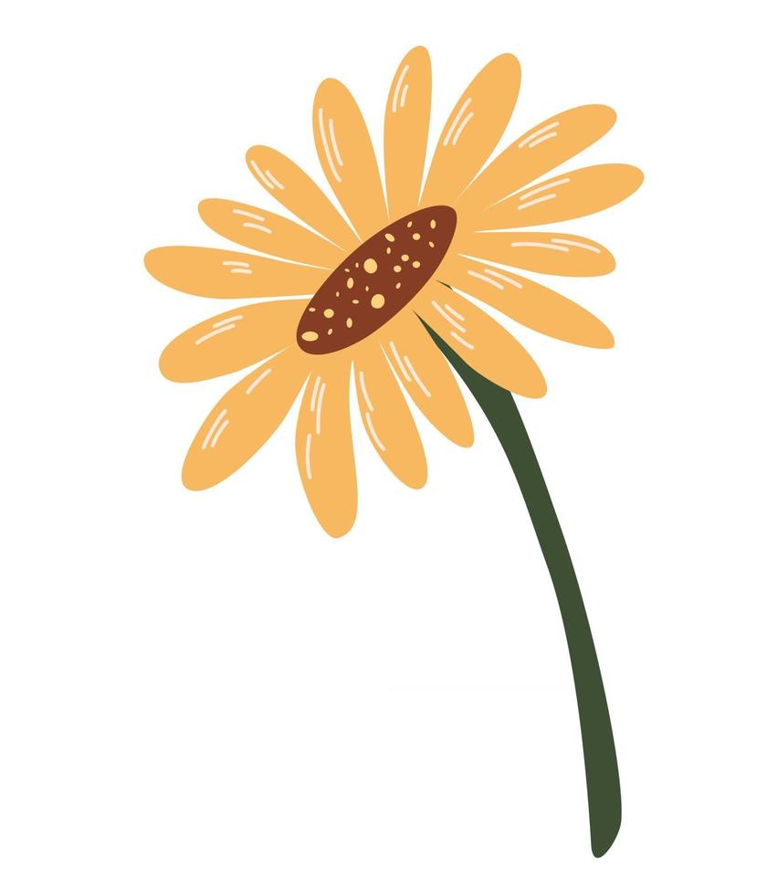 girasol. linda flor de otoño dibujada a mano. aislado en la ilustración de vector de fondo blanco.