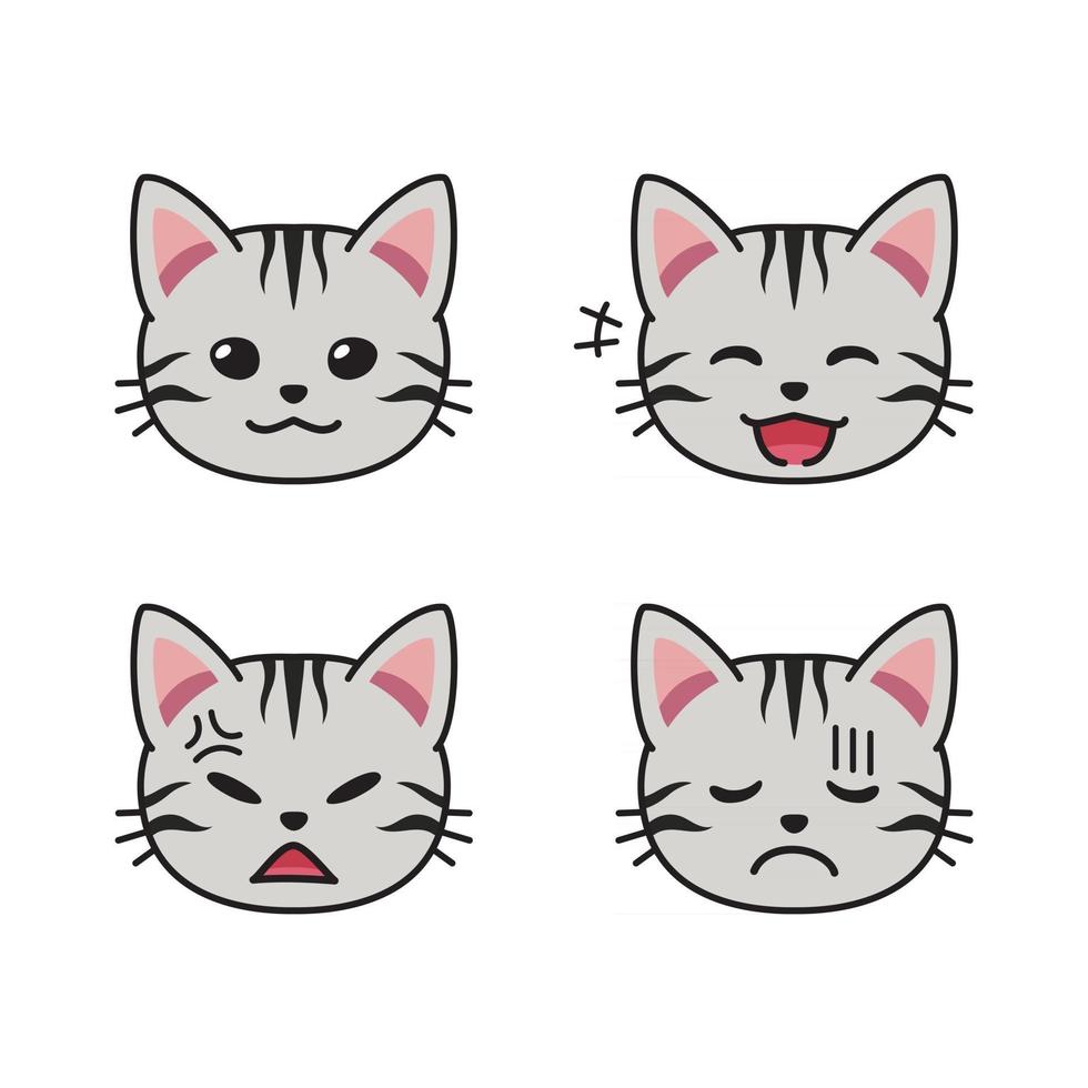 Conjunto de caras de gato americano de pelo corto que muestran diferentes emociones. vector