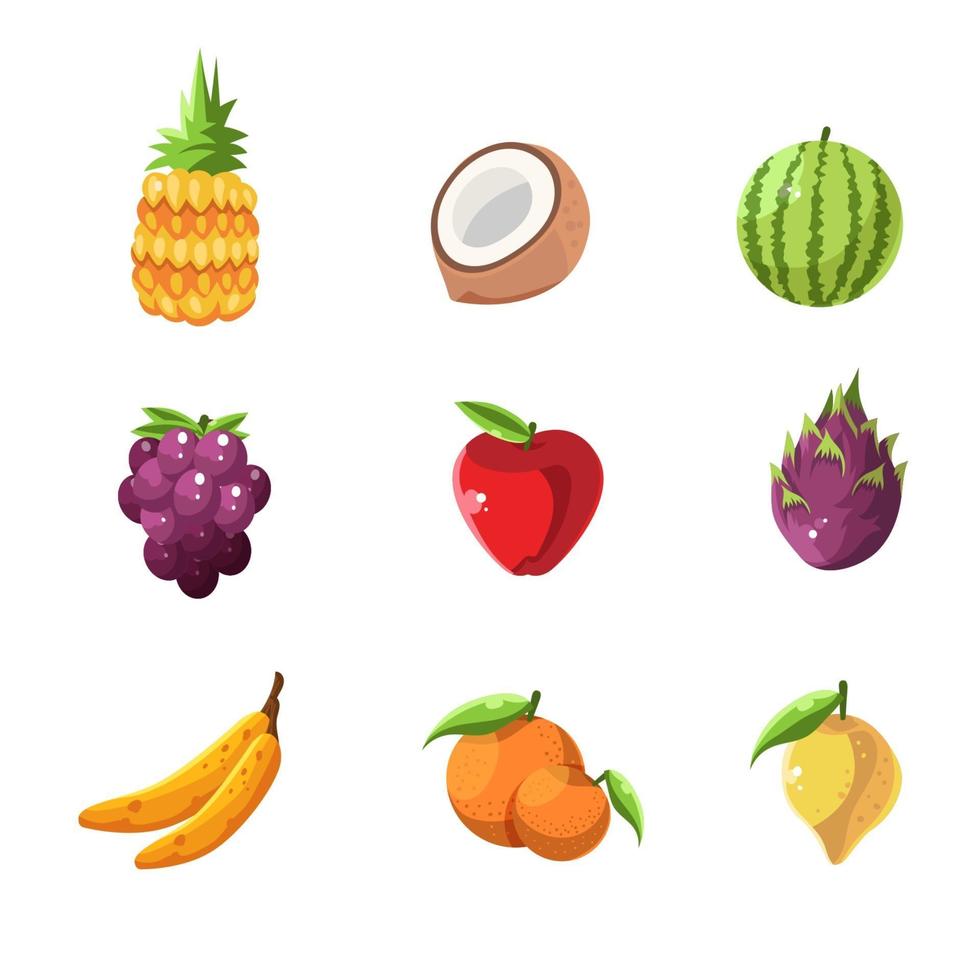 Fresh Colorful Summer Fruit Icon vector