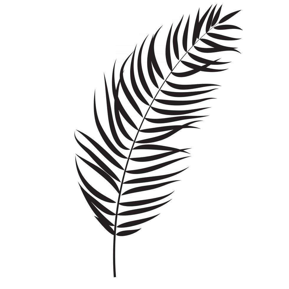 Beautifil Palm Tree Leaf Silhouette Background Vector Illustrat