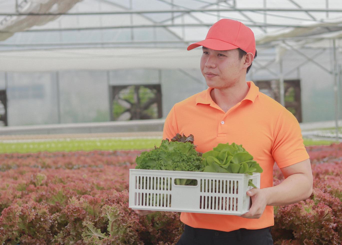 Asian delivery man holding a basket of fresh vegetables and organic vegetables from the farm. Vegetable cultivation and hydroponics. Health concept for agriculture photo