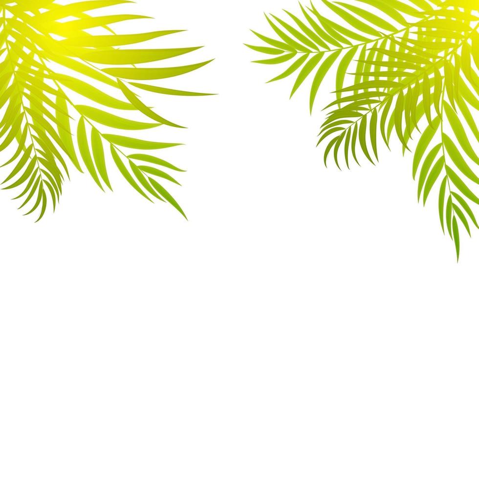 Palm Tree Leaf Silhouette Background Vector Illustration 2833604 Vector ...