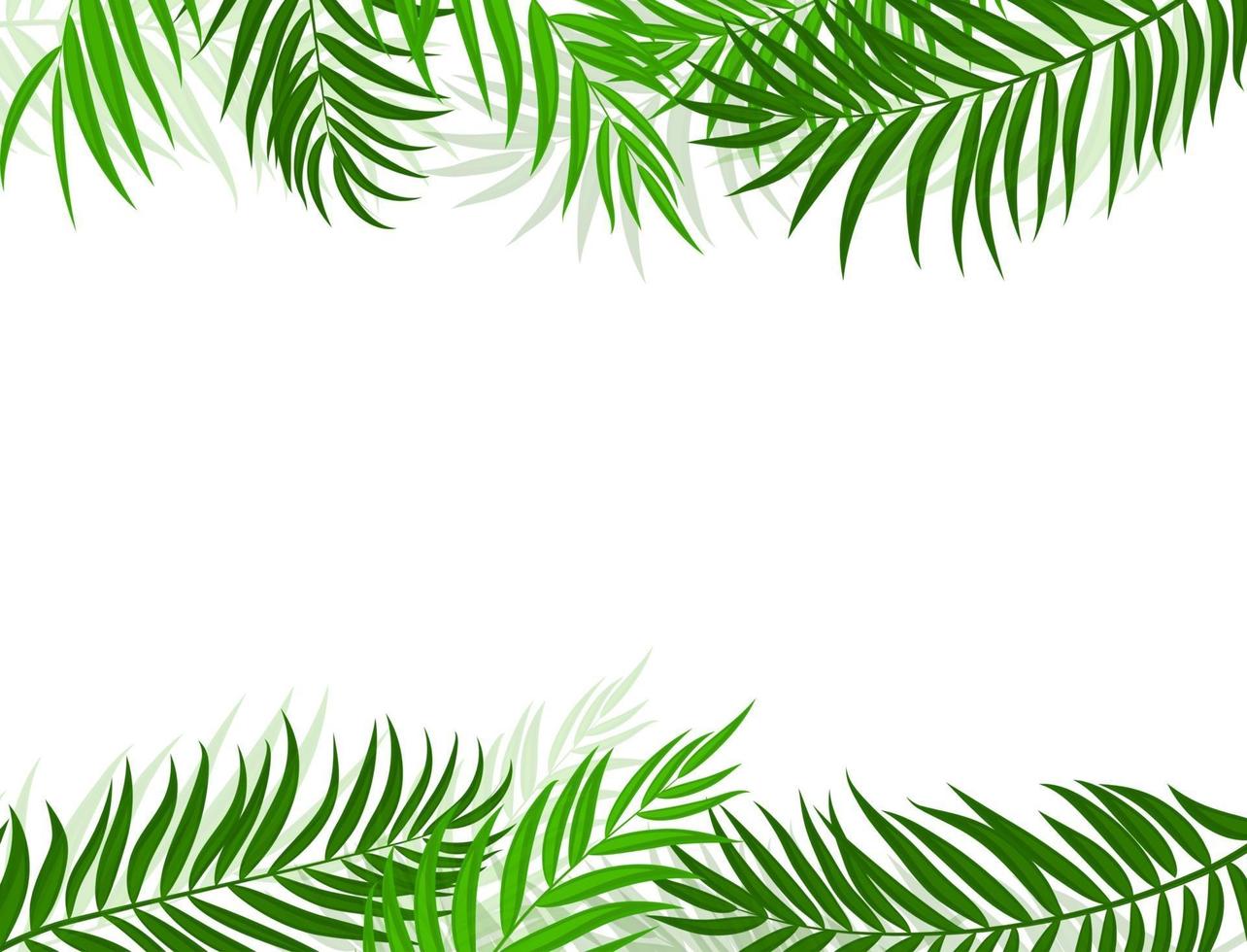 Ilustración de vector de fondo de silueta de hoja de palmera