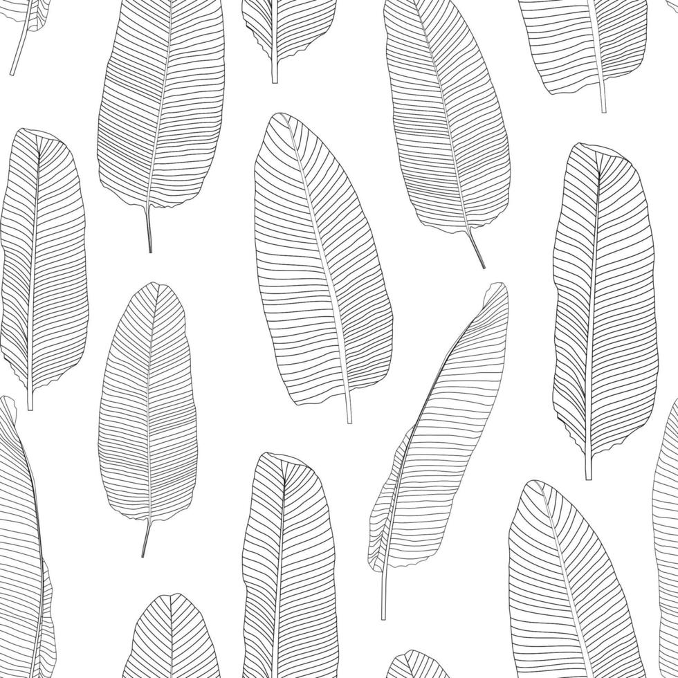 Beautifil Palm Tree Leaf Silhouette Seamless Pattern Background Vector Illustration