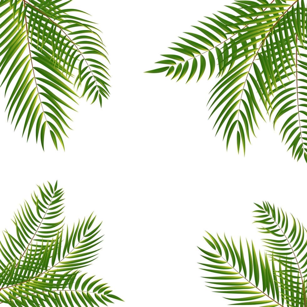 Frame Palm Tree Leaf Silhouette Background Vector Illustrat