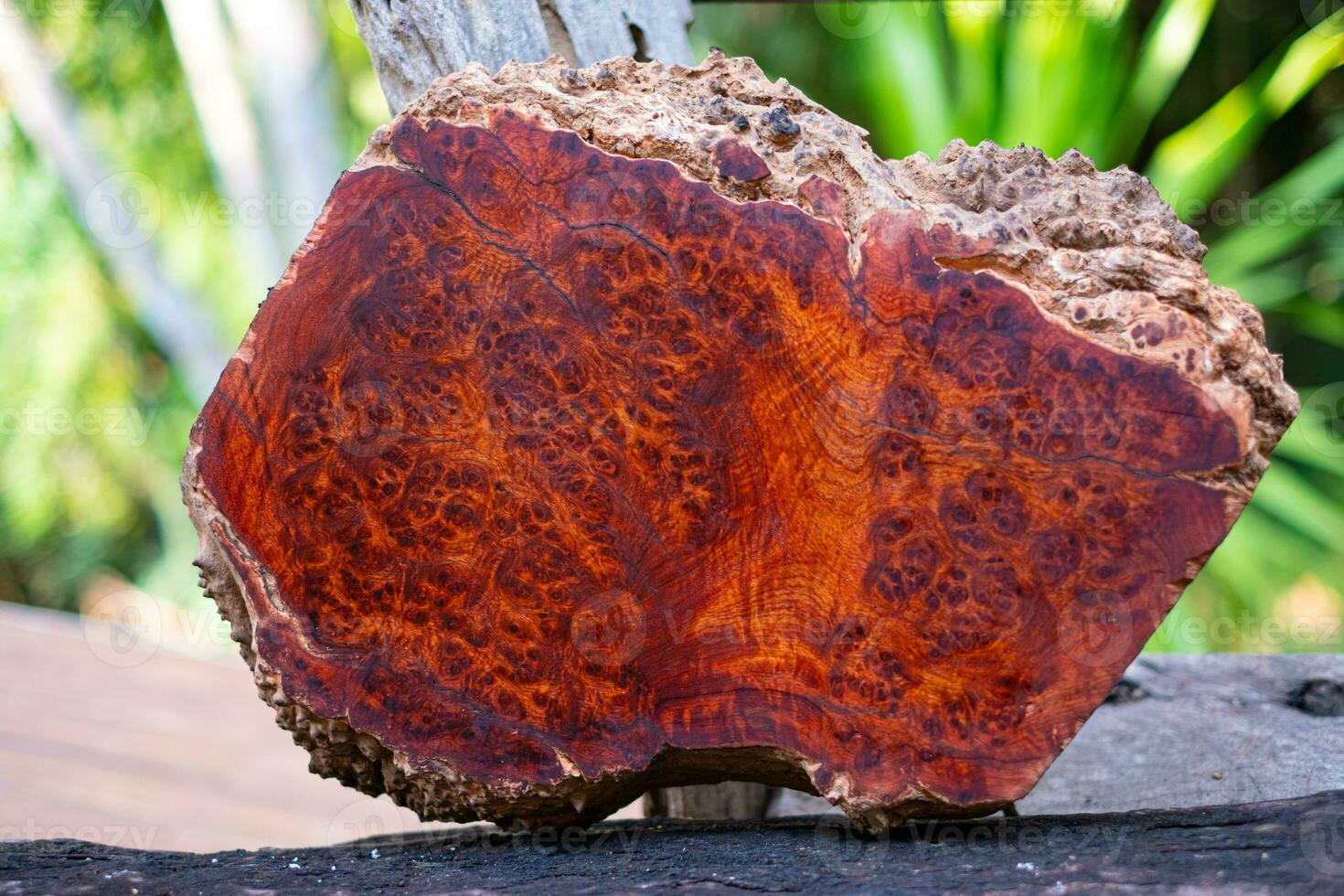 Logs Amboyna burl wood photo