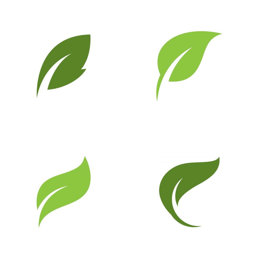green leaf nature element ecology vector design
