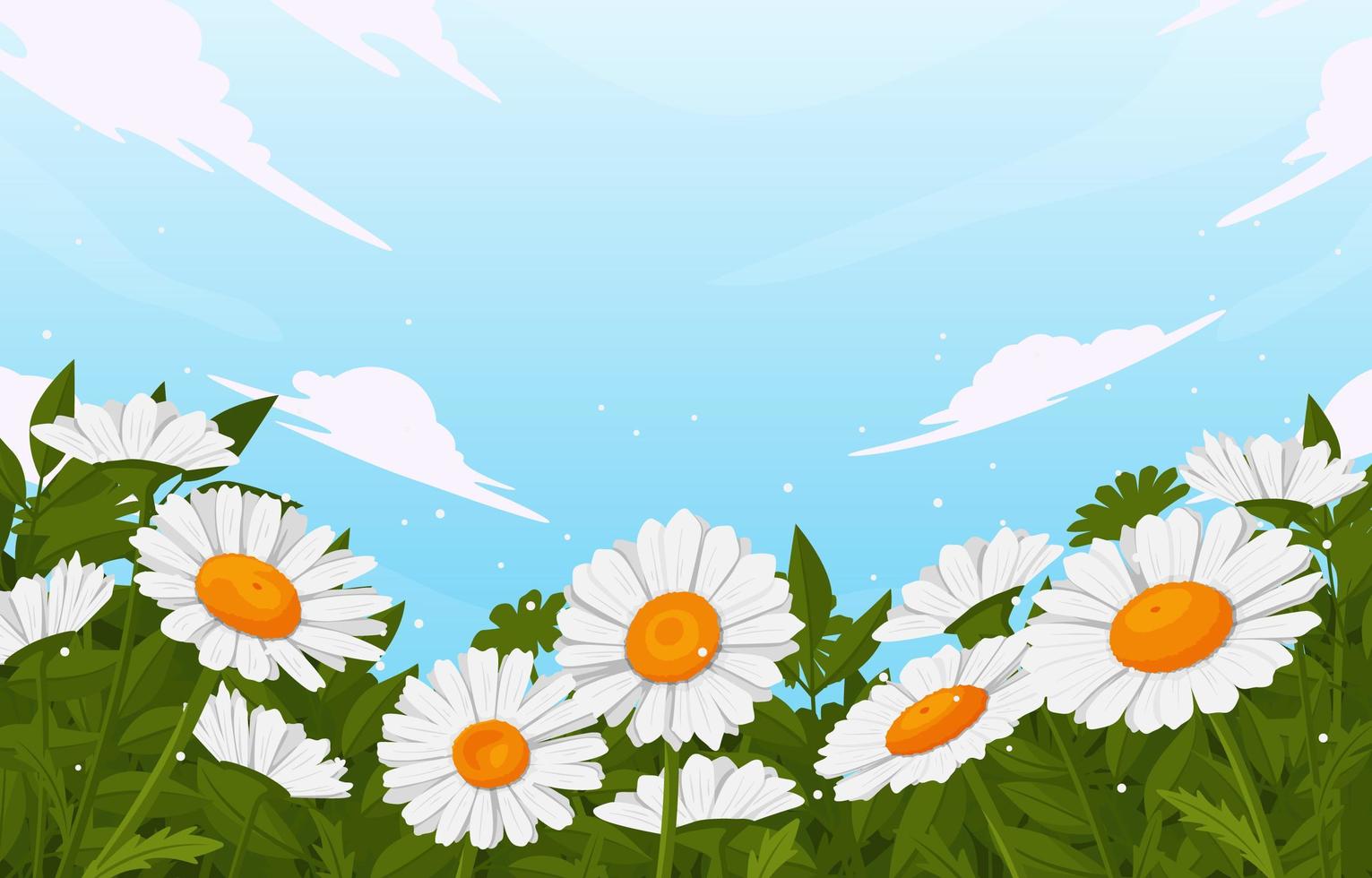 Blooming Daisy Flowers vector