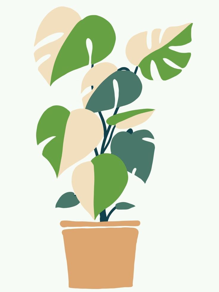 Simplicity monstera plant freehand drawing flat design. vector