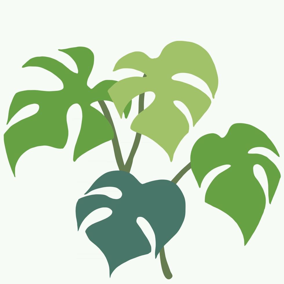 Simplicity monstera plant freehand drawing flat design. vector