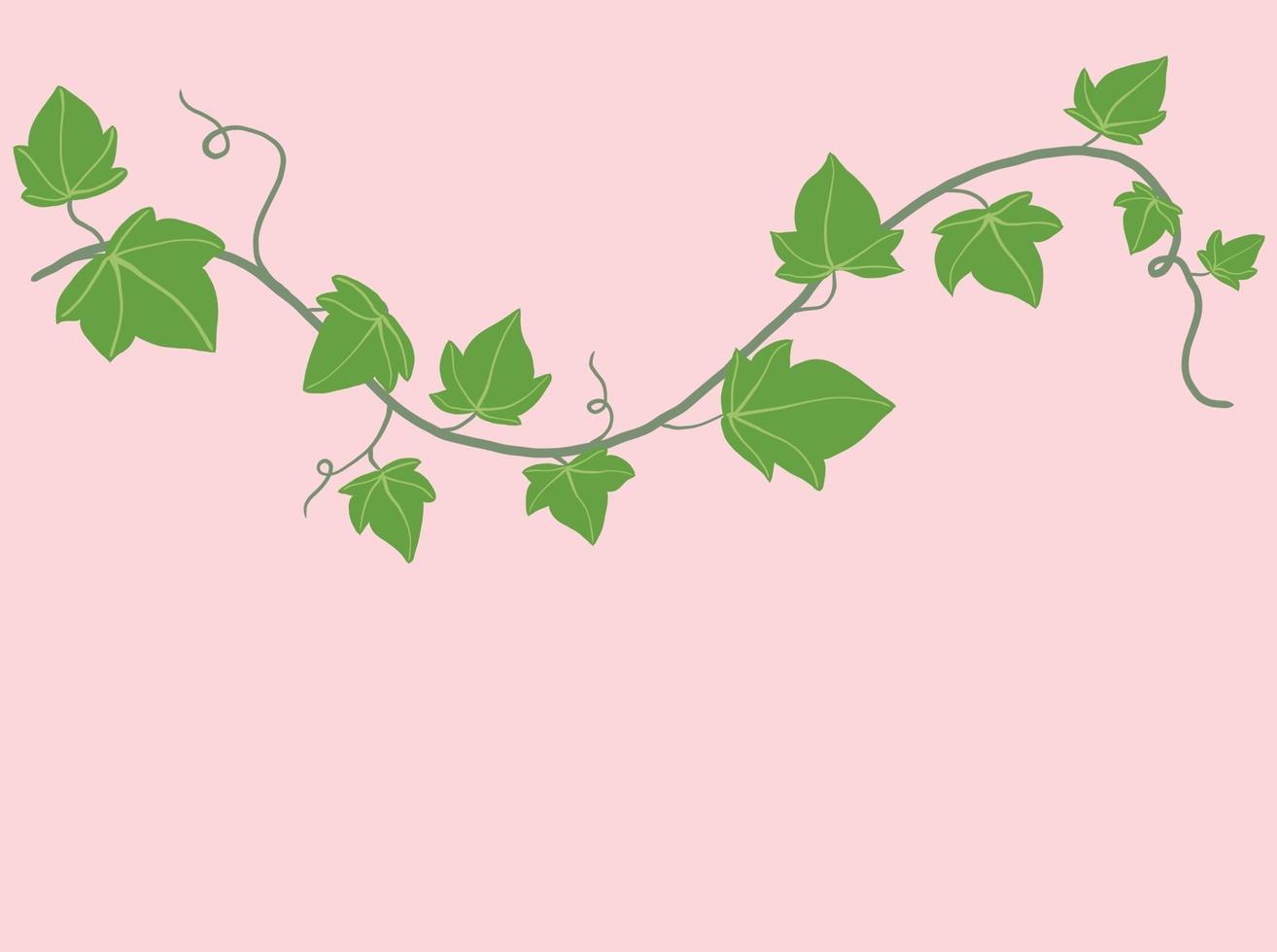 Simplicity ivy freehand drawing flat design. vector