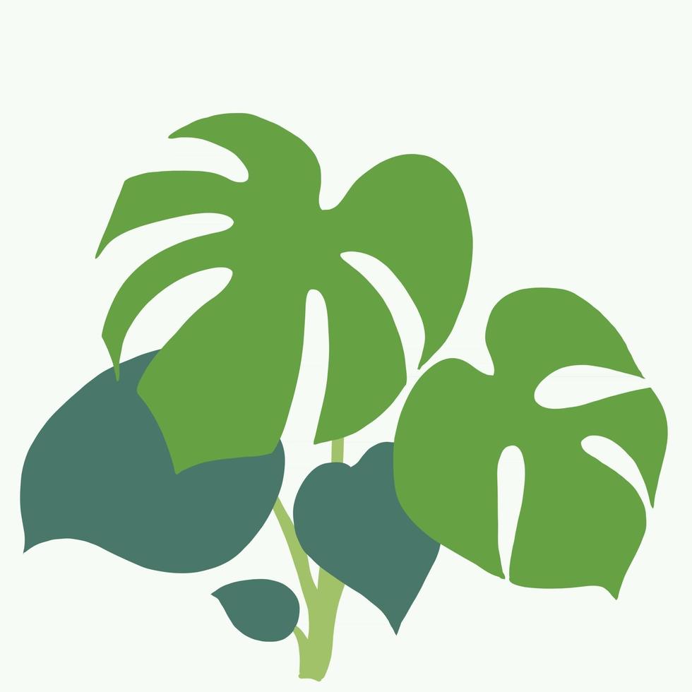 Simplicity monstera plant freehand drawing flat design. vector