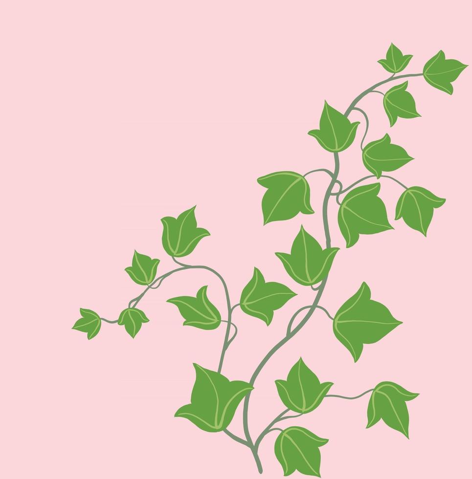 Simplicity ivy freehand drawing flat design. vector