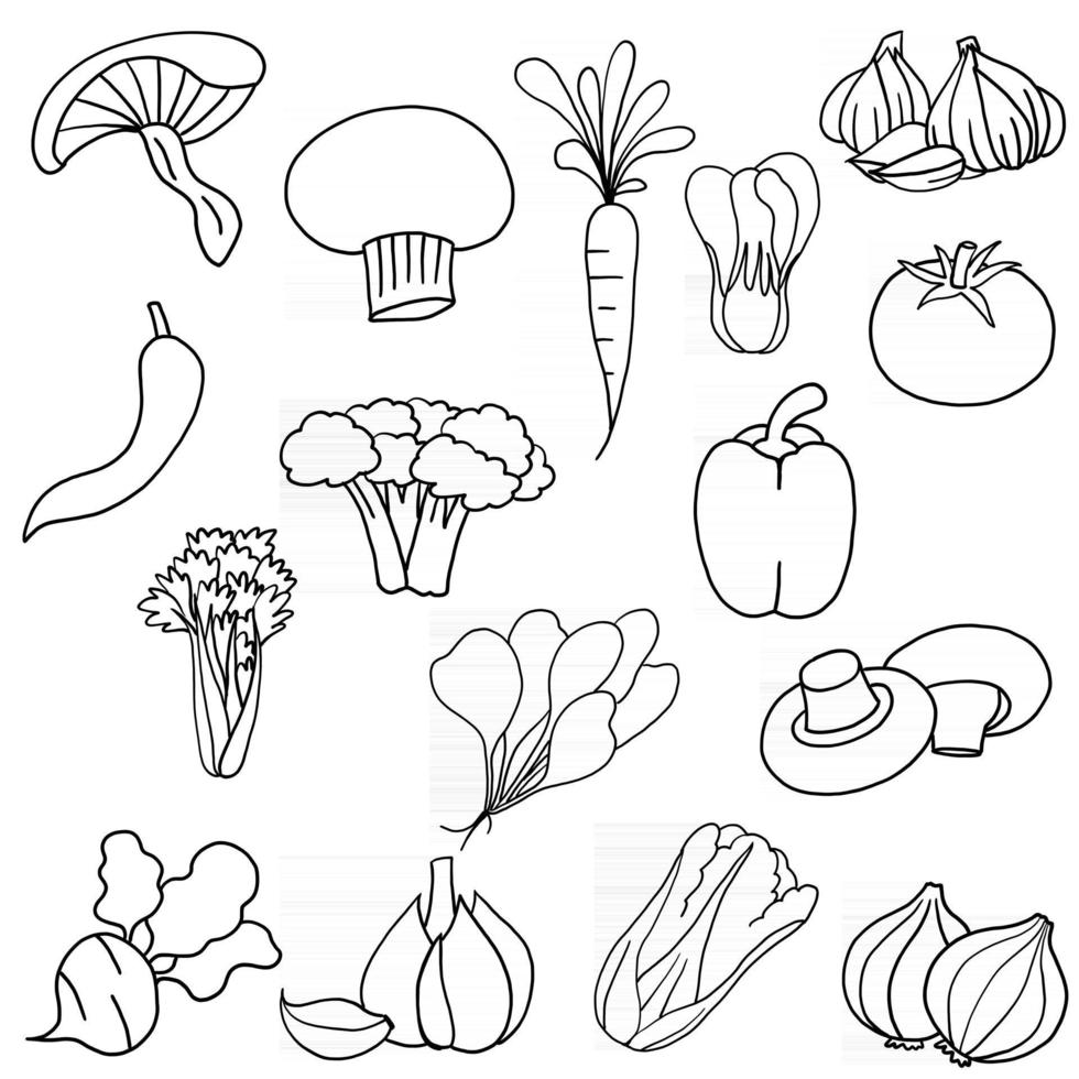 Collection of simplicity vegetable flat design. vector