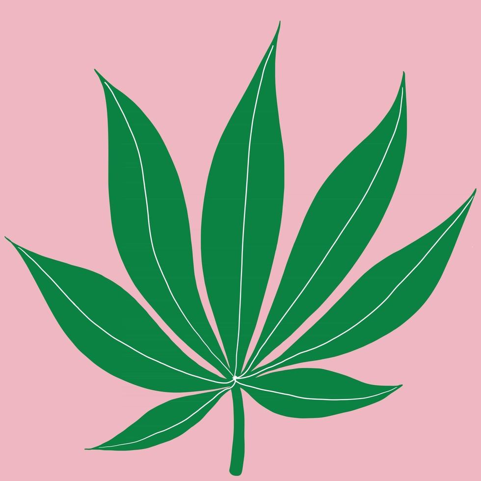 Dibujo a mano alzada de hoja de cannabis sobre fondo rosa. vector