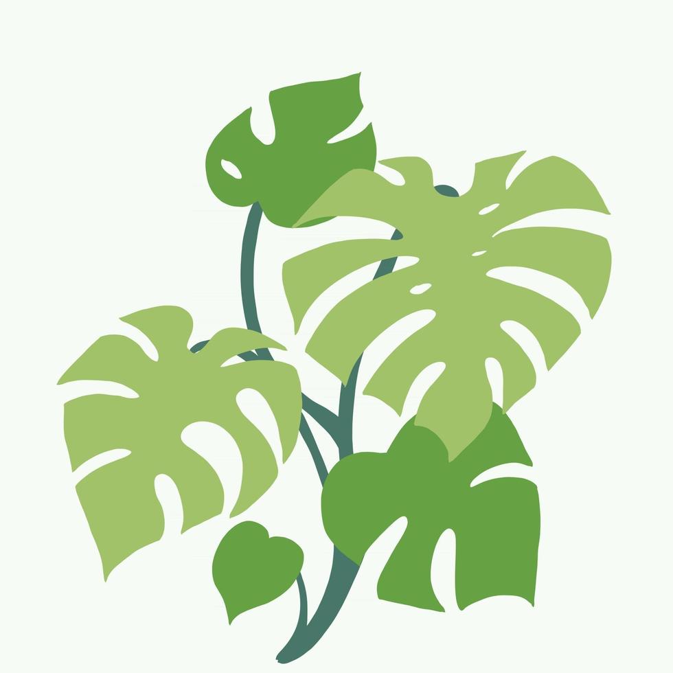 Simplicity monstera plant freehand drawing flat design. vector