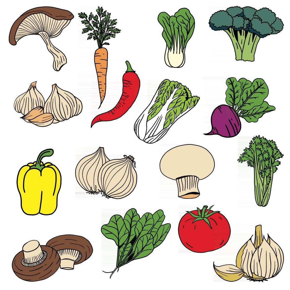 colección de diseño plano vegetal de simplicidad. vector