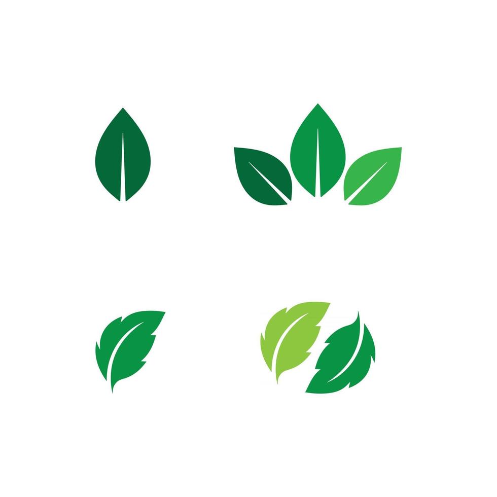 Tree leaf vector and green logo design friendly concept