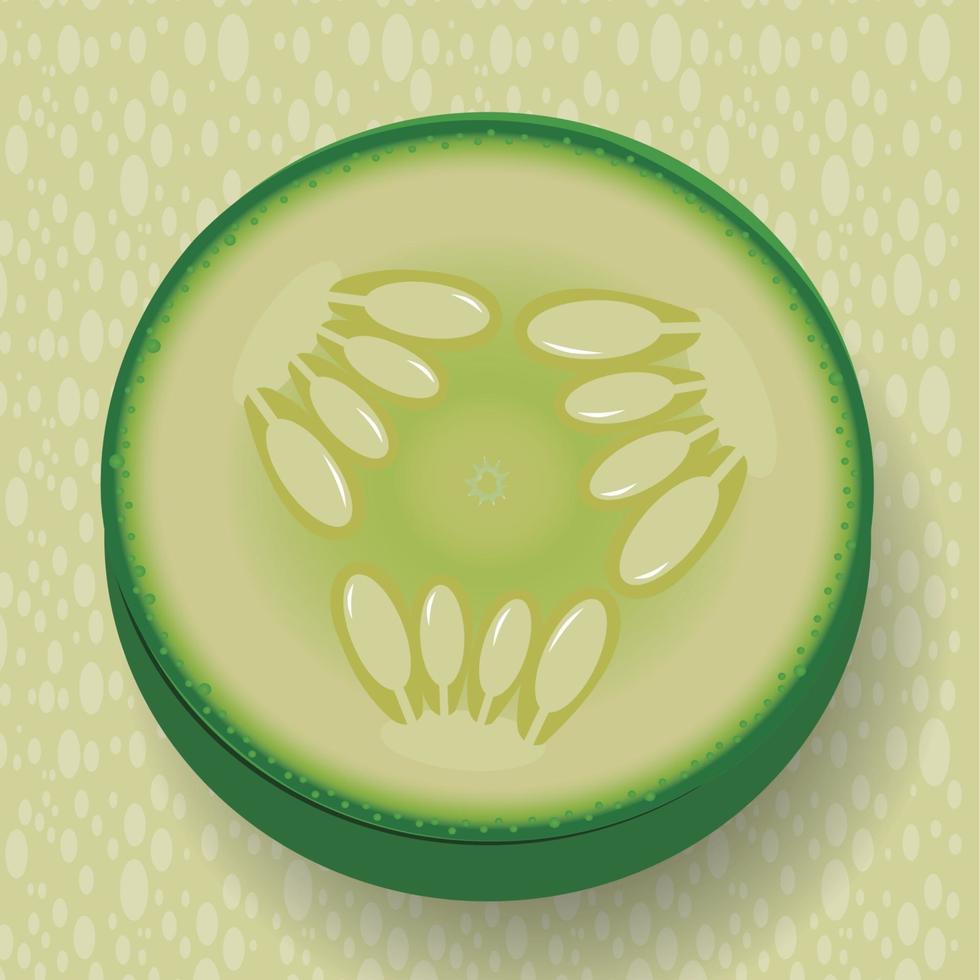 Cucumber wheel icon vector