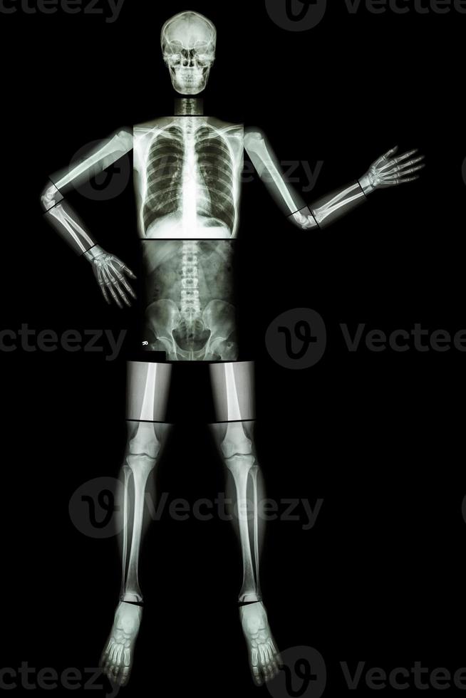Human skeleton present something isolated on black background photo